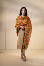 Load image into Gallery viewer, Royal Bird Phulkari Dupatta for women by Mystic Loom // Dupatta for online shopping // traditional Phulkari Motifs // heritage and culture