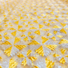 Load image into Gallery viewer, Phulkari Motifs on Organza Dupatta by Mysticloom