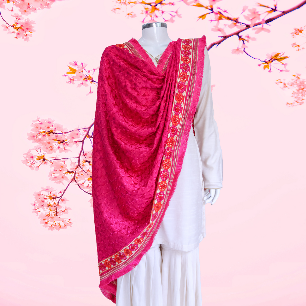 Majenta Phulkari dupatta with border work